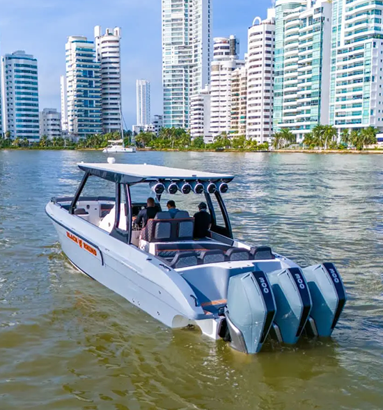 LANCHA BLACK RHINO DE 38FT