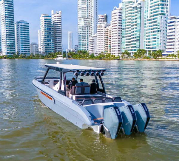 LANCHA BLACK RHINO DE 38FT