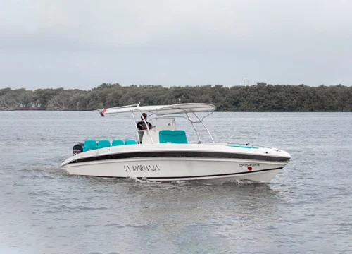 LANCHA LA MARMAJA DE 29FT