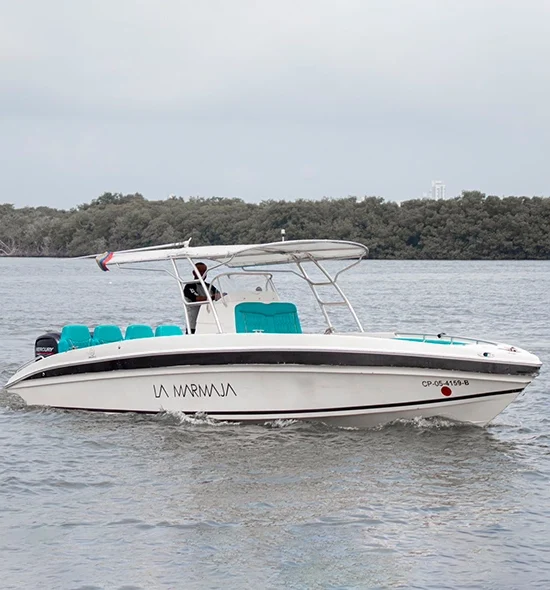 LANCHA LA MARMAJA DE 29FT