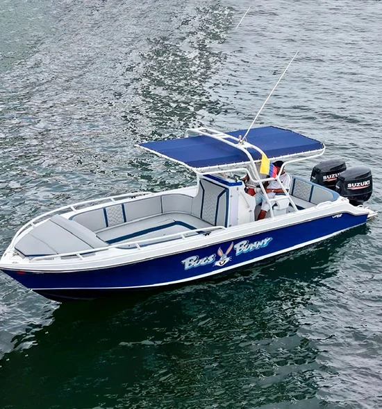 LANCHA BUGS BUNNY DE 32FT