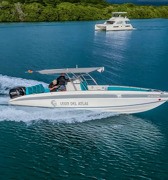 LANCHA DE LUJO LEON DEL ATLAS DE 29FT