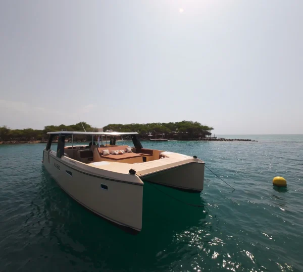 Catamaran Alisio en islas del Rosario