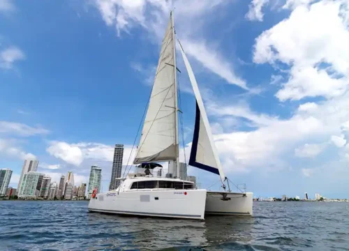 CATAMARÁN CHICOTE DE 44FT