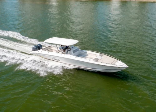 LANCHA FIANCEE DE 41FT