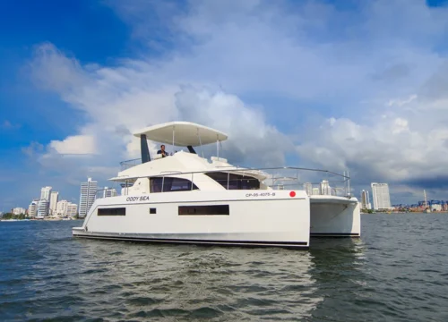 POWERCAT ODYSEA DE 43FT