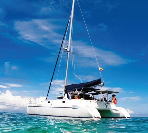 Vista lateral del catamaran armonia de 36 FT